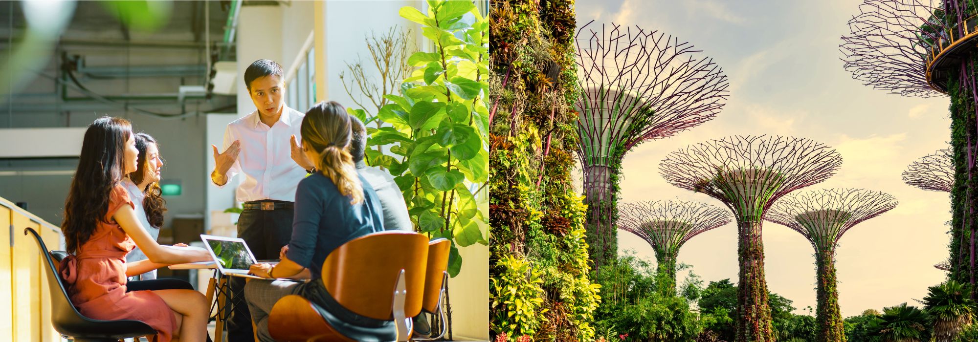 SMC SPOC - Sharma Management International - Scrum Master Certification (SMC) | Scrum Product Owner Certified (SPOC®)