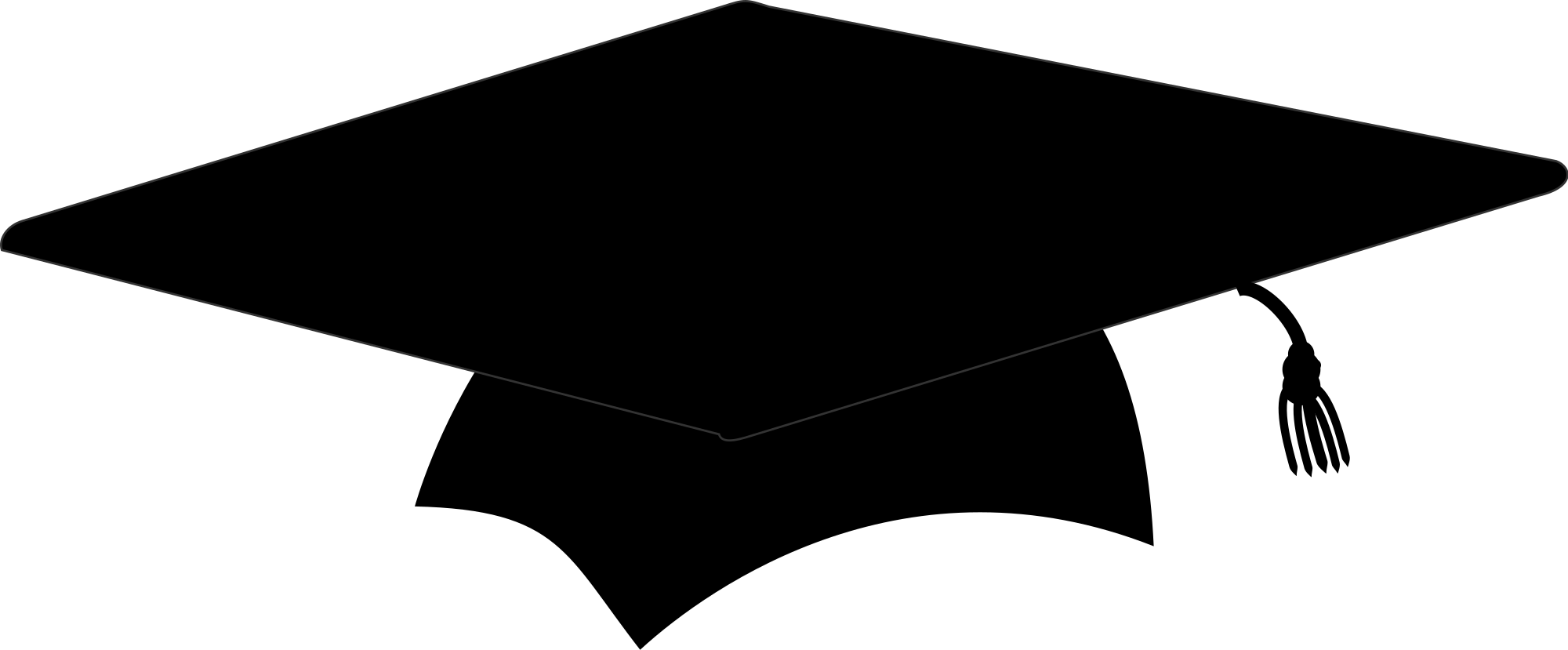 Becoming A Project Management Professional.